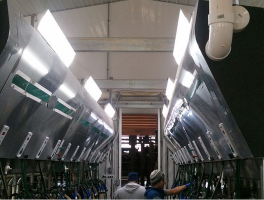 Sabit Akım Ledli Lineer Işıklar 85Watt Daha Az Bakım Maliyeti