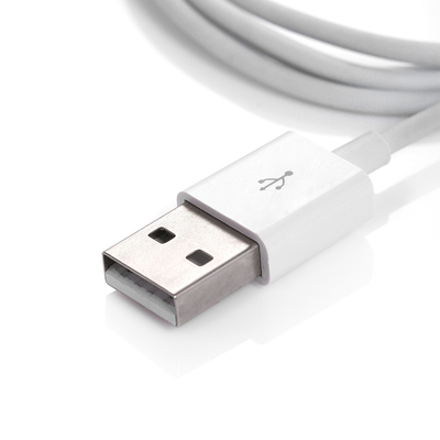 3 ft 1m 8 Pin USB Veri Transferi Kablosu Kablo Senkronizasyonu, iPhone USB 2.0 Kablosu